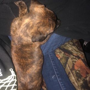 Meet your Posher, Derek